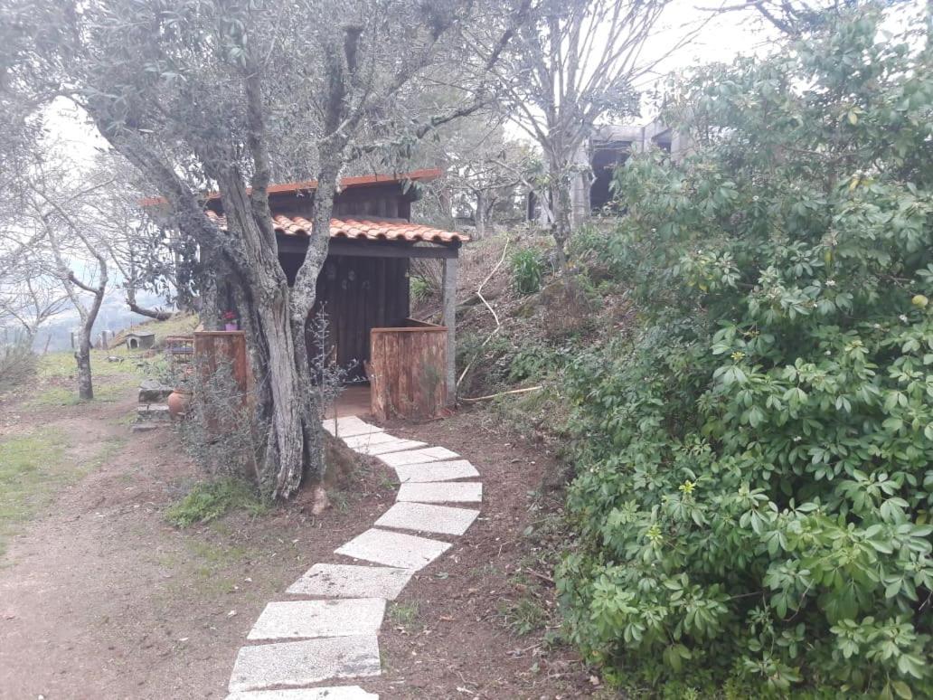 Cabana Da Oliveira Marco de Canaveses Ngoại thất bức ảnh
